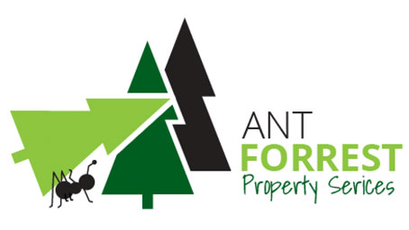 Ant Forrest logo